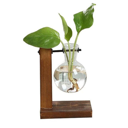 Eco Friendly Terrarium Hydroponic Plant Vases with Transparent Flower Pot and Wooden Frame - New - Smart Shoppers Deal