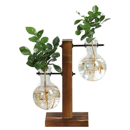 Eco Friendly Terrarium Hydroponic Plant Vases with Transparent Flower Pot and Wooden Frame - New - Smart Shoppers Deal