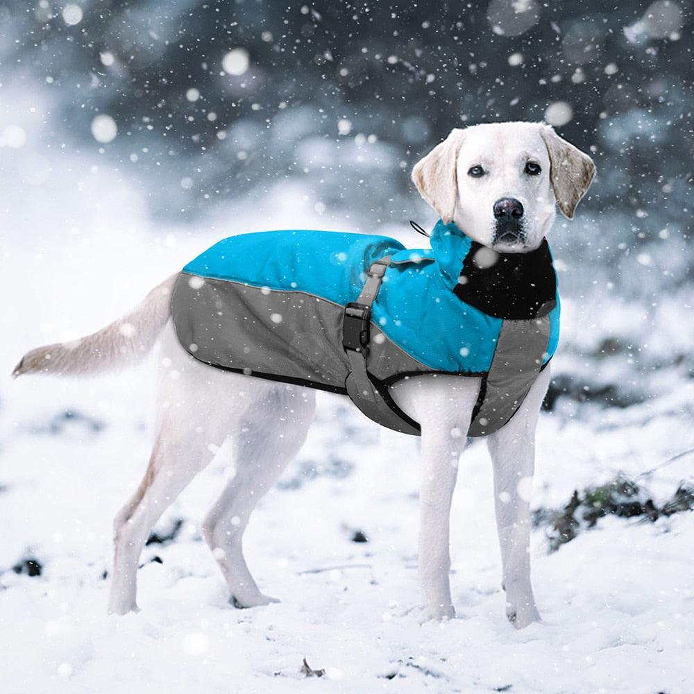 Waterproof Warm Dog Coat / Jacket - Medium to Large Dogs - Smart Shoppers Deal